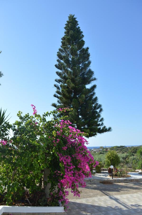 Villa Sk Sissi Dış mekan fotoğraf